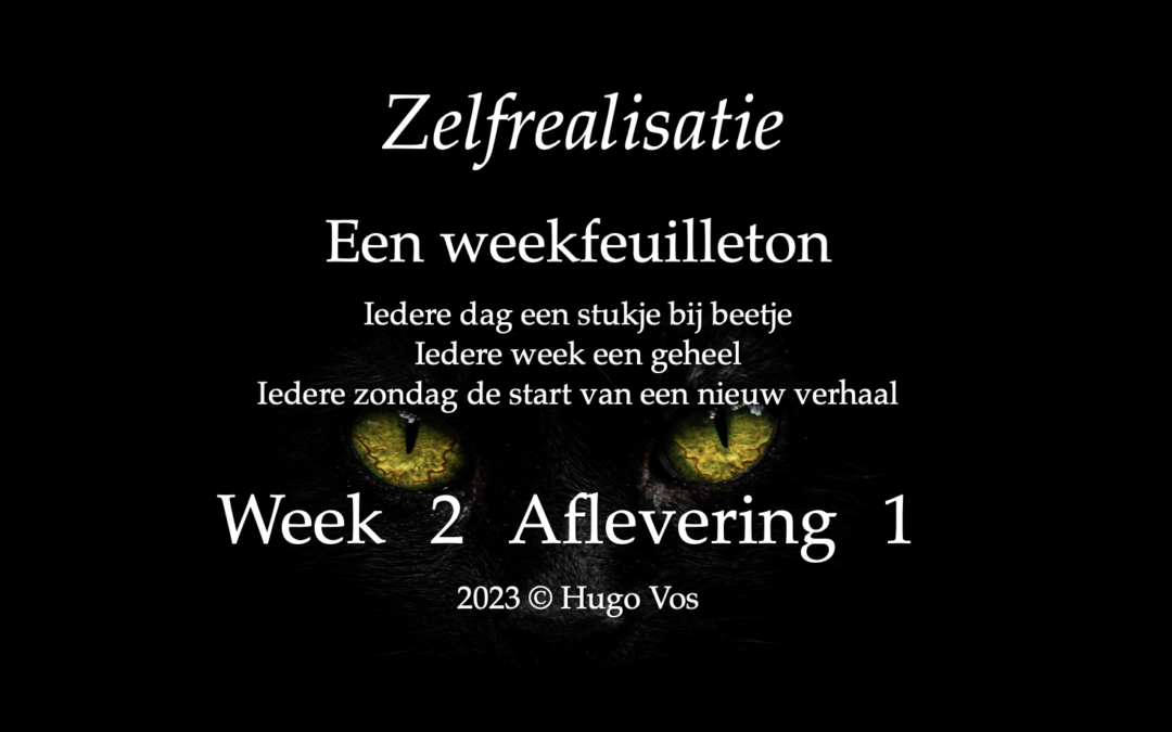 Zelfrealisatie