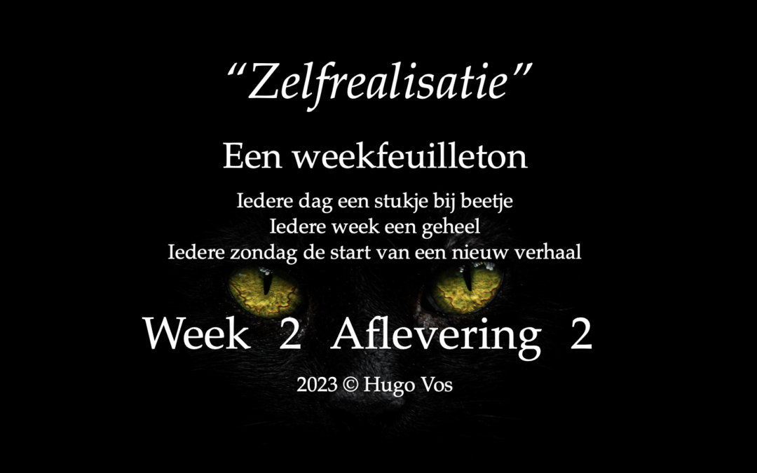 “Zelfrealisatie” (Aflevering 2)